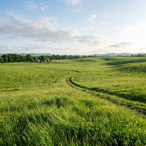 Tranquil Green Field Bathed in Sunlight