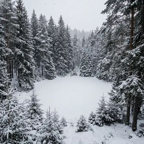 Tranquil Wintry Forest Landscape with Snowy Trees
