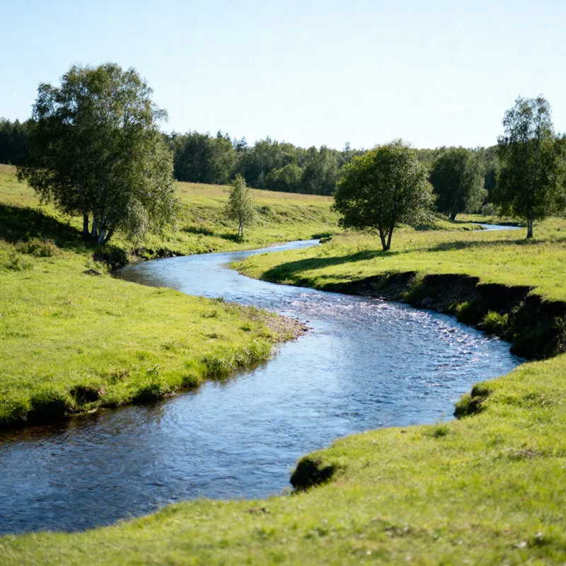Stunning Green Landscape with River View