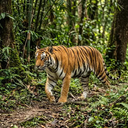 Traditional Tiger Art - Explore Cultural Significance