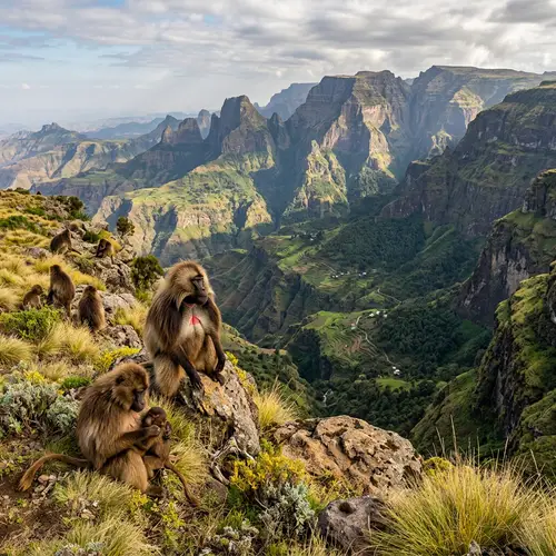Discover the Stunning Landscapes of Simien Mountains