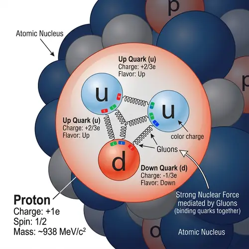 Proton Physics: Subatomic Composition and Nuclear Force