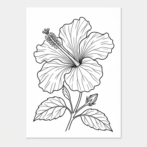 Hibiscus Flower Outline - Black and White Art
