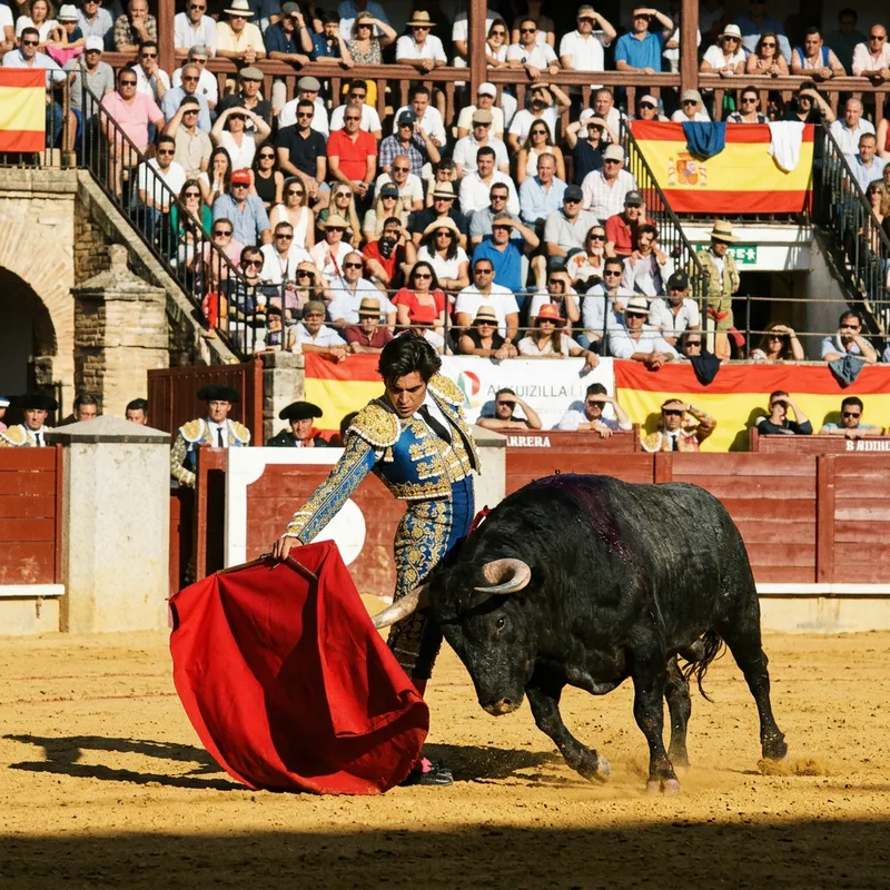 Bullfighting Bull with Spectators: Excitement in the Arena Bullfighting Bull with Spectators: Excitement in the Arena