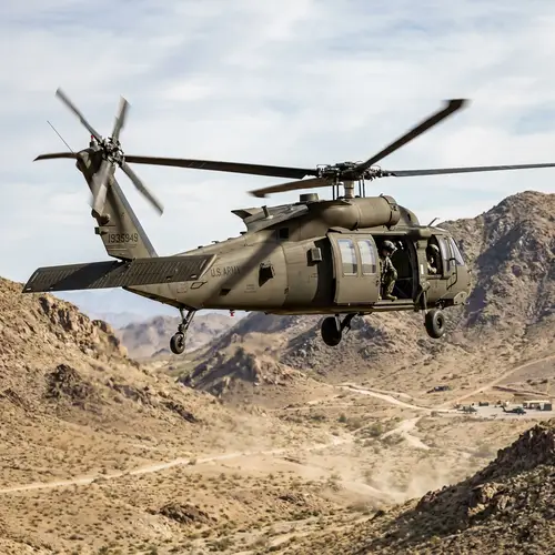 Exploring the Black Hawk: Nature's Majestic Bird