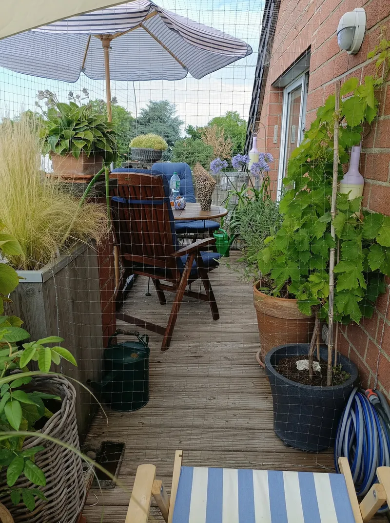 Cat Protection: Safeguarding Feline Friends