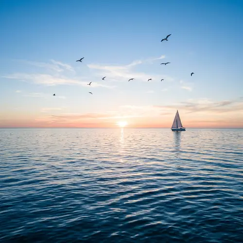 Tranquil Seascape with Setting Sun, Boat, and Seagulls