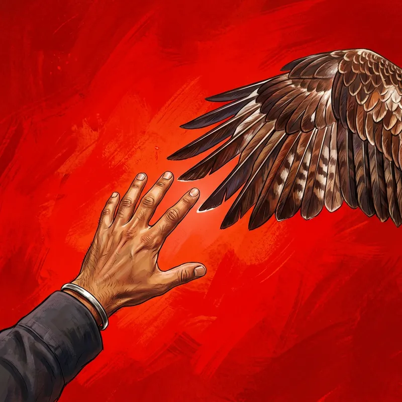 Red Background Human Hand and Eagle Wing Connection