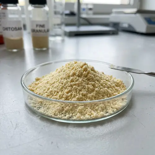 Chitosan Fine Granular Yellowish Powder