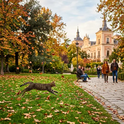 Cat Running Through Alameda de Osuna Park, Madrid