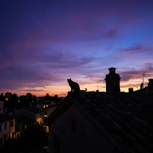 Silhouette of Cat Perched on Roof Against Dusk Sky