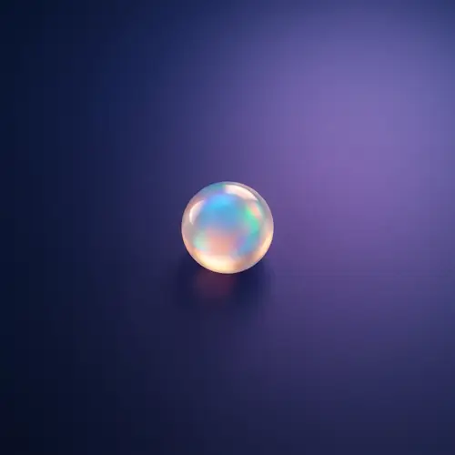 Beautiful Dot - Discover the Beauty of Dots