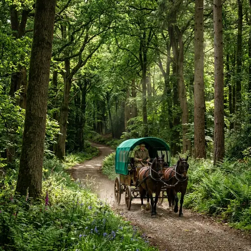 Enchanting Forest Trail with Green Carriage | Nature Scene
