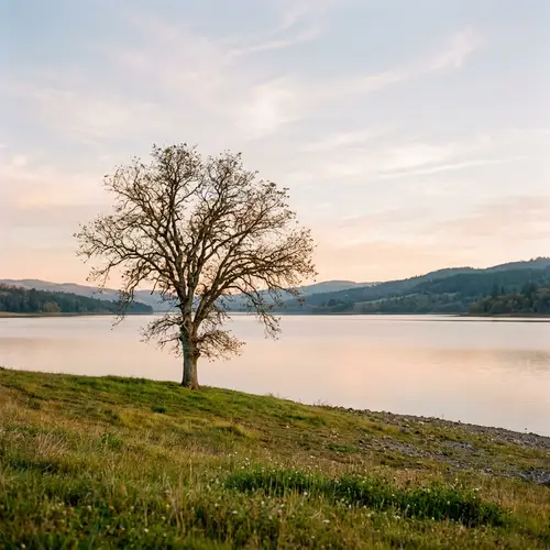 Una Foto - Simple Photograph