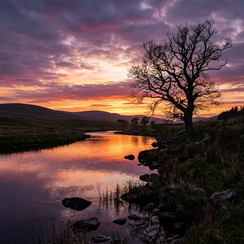 Tranquil Sunset Landscape with Solitary Tree and Rolling Hills