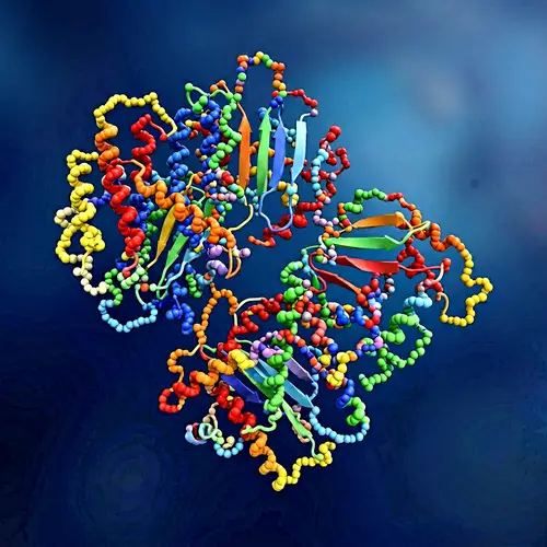 Detailed Microscopic View of Protein Molecule Structure