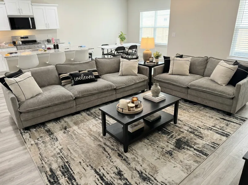 Aesthetic Living Room Ideas with Colorful Rug Design