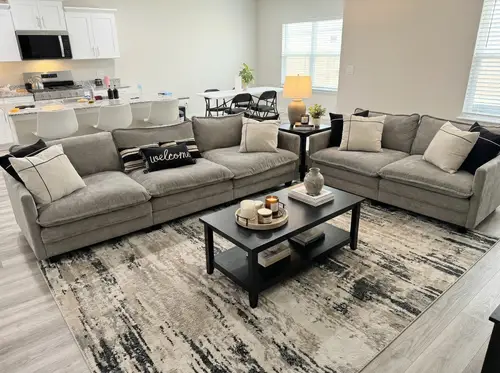 Aesthetic Living Room Ideas with Colorful Rug Design