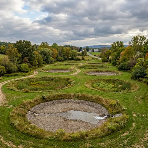 Infiltration Basins for Sustainable Stormwater Management