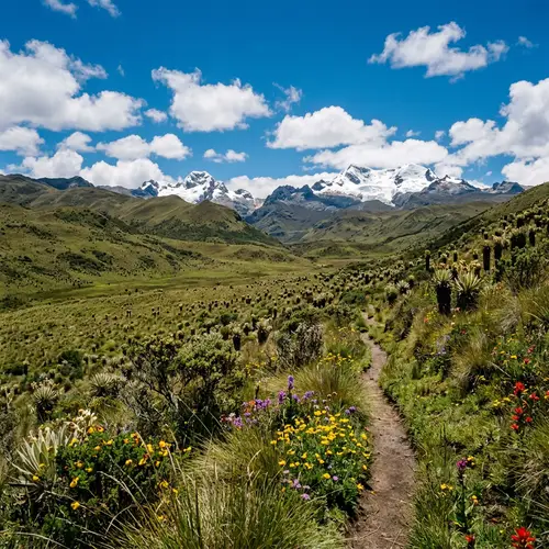 Subparamo Ecosystem: Raw Beauty of Andes Mountains