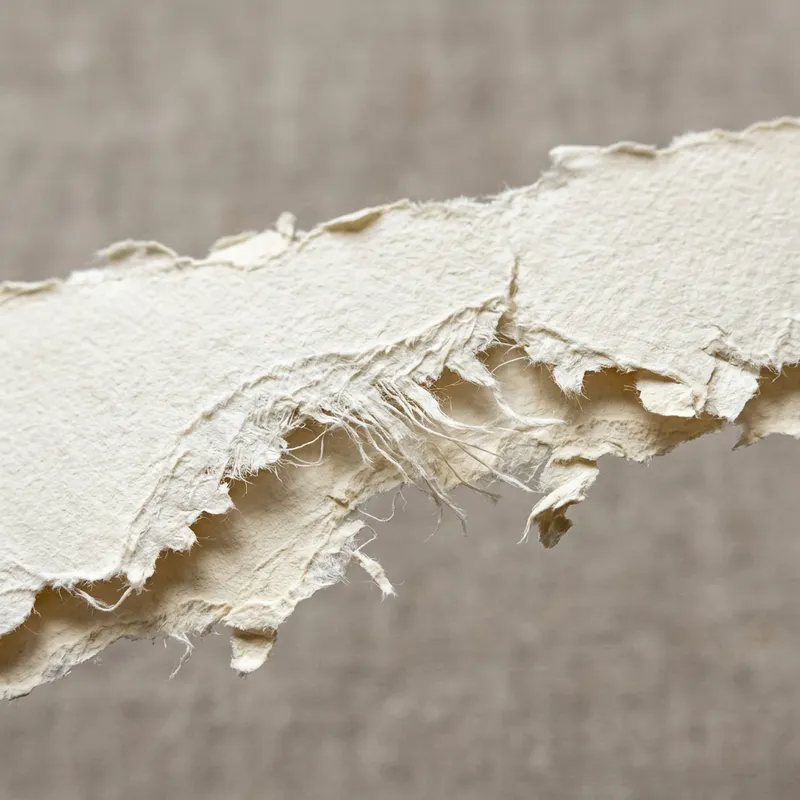 Torn Paper Edge with Frayed Strands | Textured White Background