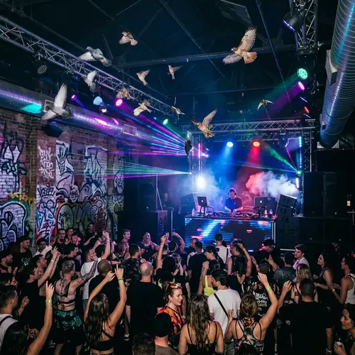 Surreal Techno Club: Birds Soaring Amid Neon Lights