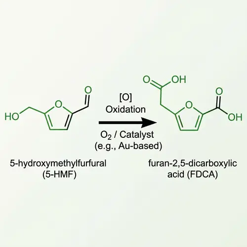 5-HMF to FDCA: Chemical Conversion Process Explained