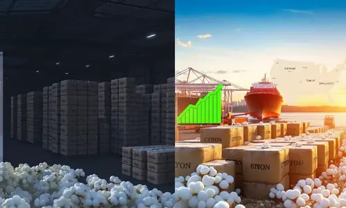 Image Editing: Remove Text and Shapes