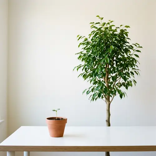 Minimalist Professional Growth | Sprouting Seedling & Thriving Tree