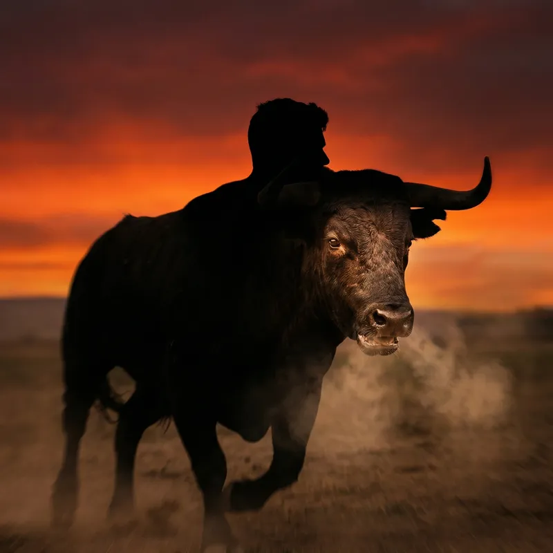Dynamic Bull-Man Silhouette Art Design