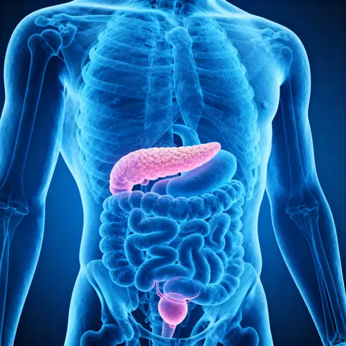 Translucent Human Torso Art with Visible Organs