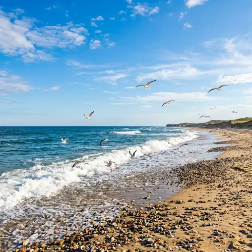 Serene Seaside Scene: Waves, Shells & Seagulls | Beach Bliss