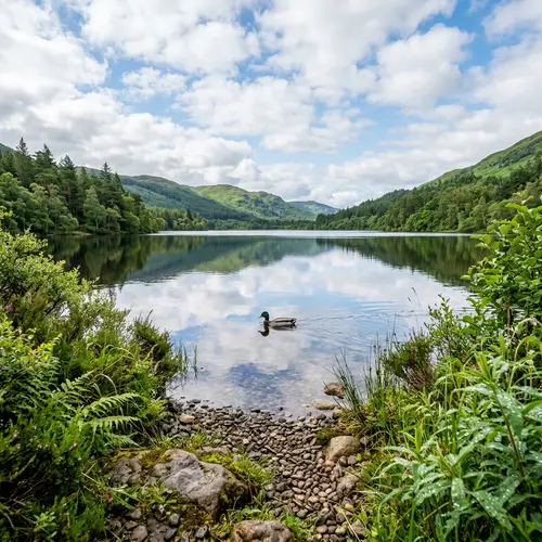 Agua: Tranquil Landscape with a Serene Lake