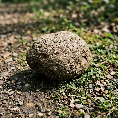 Beautiful Rock with Unique Texture and Color