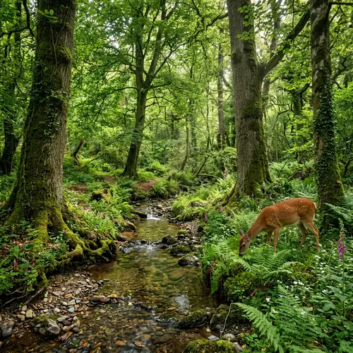 Deep Serene Natural Environment - Enchanting Forest Scene