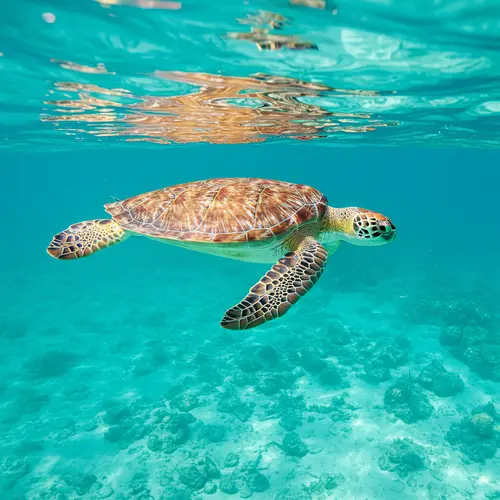 Explore Marine Turtles: Facts and Conservation
