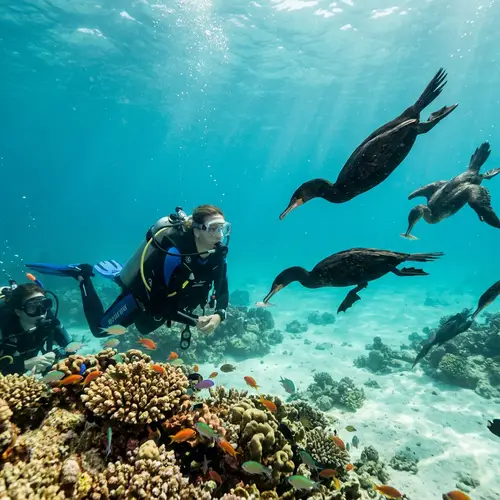 Birds and Scuba Diving Adventures
