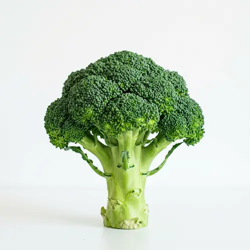 Vivid Emerald Green Broccoli - Fresh and Crisp Vegetable Image