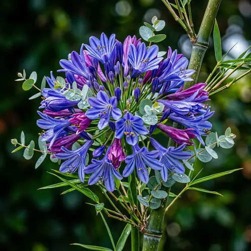 Vibrantly Colorful Crossbred Flower Photo - Botanical Photography
