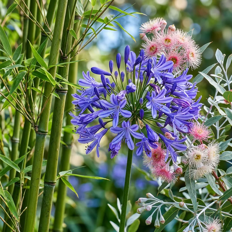 Vibrant Botanical Fusion: Bamboo, Agapanthus, and Eucalyptus in HDR Beauty Vibrant Botanical Fusion: Bamboo, Agapanthus, and Eucalyptus in HDR Beauty
