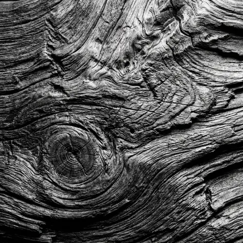 Cedar Wood Grain Texture Macro Photography