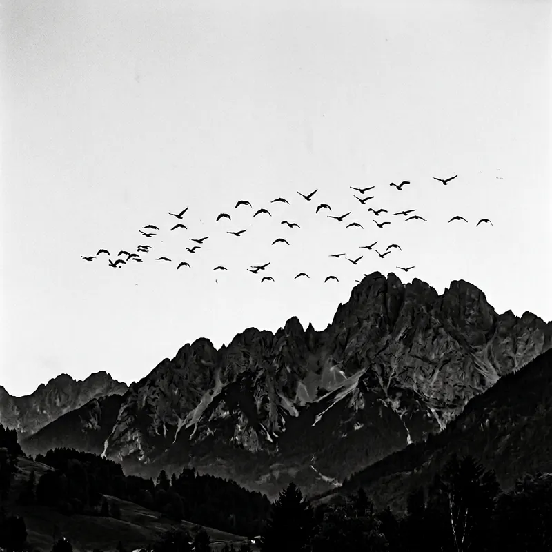 Tranquil Black and White Mountains with Birds in Flight
