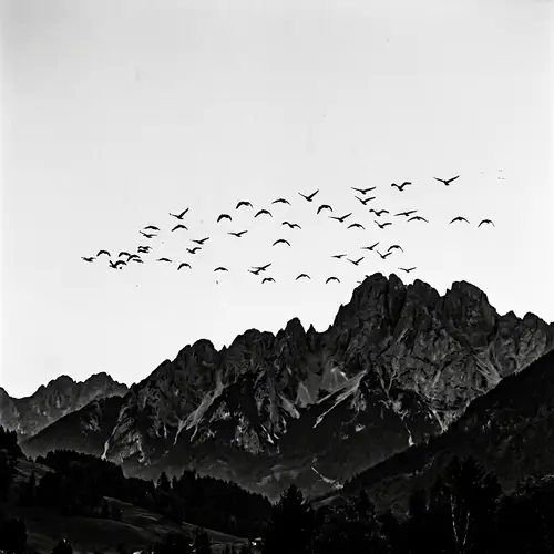 Silhouette of Majestic Mountains: Tranquil Black and White Scene
