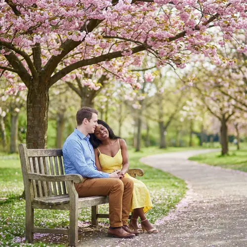 Sweet Couple sitting under Cherry Blossom Tree | Peaceful Park Scene