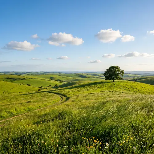 Verdant Landscape: Lush Green Grass Rolling Hills