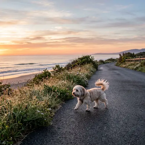 Tranquil Sunrise Scene with Dog Crossing Road