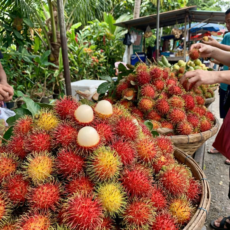 Fresh Rambutan Fruits - Taste the Exotic