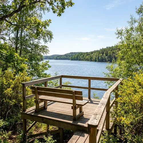 Tranquil Wooden Bench on Observation Platform by Lake in Forest