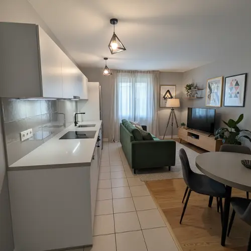 Contemporary Kitchen Living Combo Design Ideas