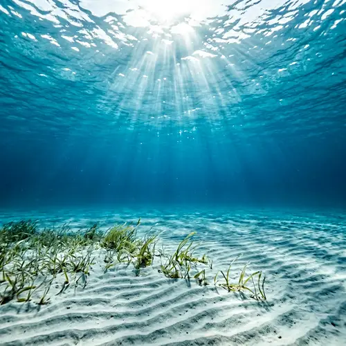 Crystal Clear Serenity of Empty Ocean